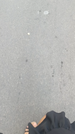 VID_20260817_104614